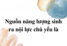 nguon-nang-luong-sinh-ra-noi-luc-chu-yeu-la