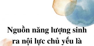 nguon-nang-luong-sinh-ra-noi-luc-chu-yeu-la