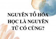 nguyen-to-hoa-hoc-la-nguyen-tu-co-cung