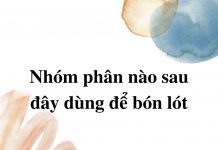 nhom-phan-nao-sau-day-dung-de-bon-lot