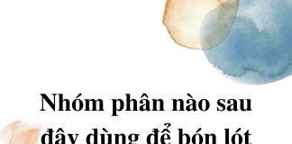 nhom-phan-nao-sau-day-dung-de-bon-lot