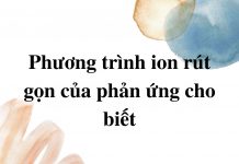 phuong-trinh-ion-thu-gon-cua-phan-ung-cho-biet