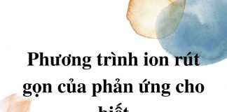 phuong-trinh-ion-thu-gon-cua-phan-ung-cho-biet