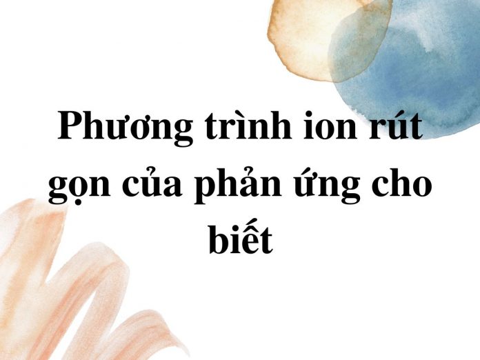 phuong-trinh-ion-thu-gon-cua-phan-ung-cho-biet