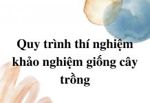 quy-trinh-thi-nghiem-khao-sat-giong-cay-trong