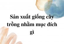 san-xuat-giong-cau-trong-nham-muc-dich-gi