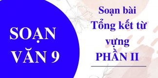 soan-bai-tong-ket-tu-vung-phan-2