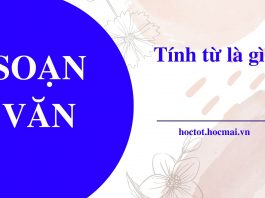 tinh-tu-la-gi