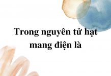 trong-nguyen-tu-hat-mang-dien-la