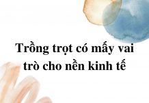 trong-trot-co-may-vai-tro-trong-nen-kinh-te