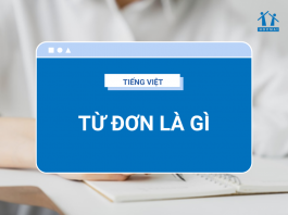 tu-don-la-gi