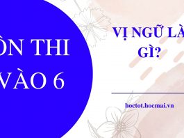 vi-ngu-la-gi