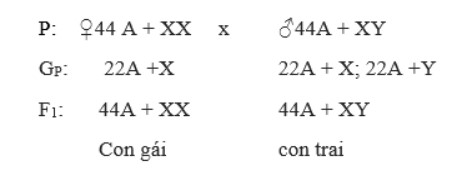 de-cuong-on-thi-giua-ki-1-sinh-9-6