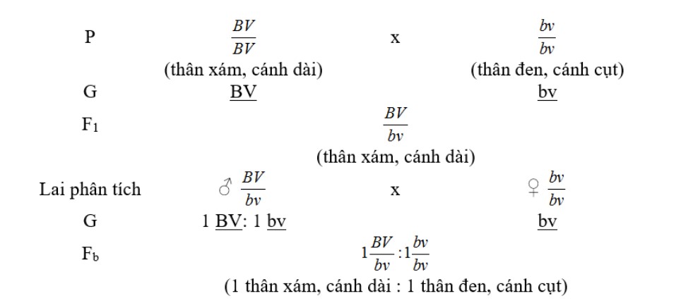 de-cuong-on-thi-giua-ki-1-sinh-9-7