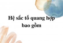 he-sac-to-quang-hop-bao-gom