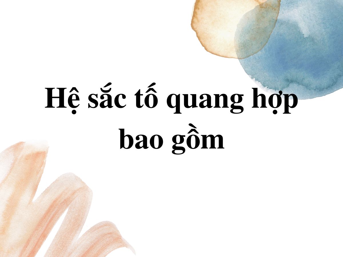 Hệ Sắc Tố Quang Hợp Bao Gồm: Tìm Hiểu Chi Tiết Về Các Nhóm Sắc Tố Quan Trọng