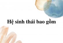 he-sinh-thai-bao-gom