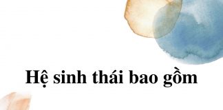 he-sinh-thai-bao-gom