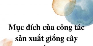 muc-dich-cua-cong-tac-san-xuat-giong-cay-trong