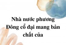 nha-nuoc-phuong-dong-co-dai-mang-tinh-chat-cua