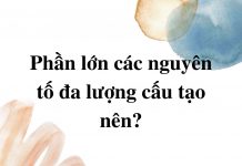 phan-lon-cac-nguyen-to-da-luong-cau-tao-nen