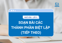 soan-bai-cac-thanh-phan-biet-lap-tiep-theo