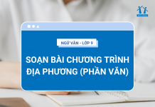 soan-bai-chuong-trinh-dia-phuong-phan-van