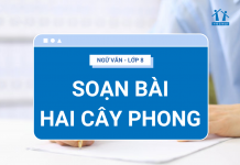 soan-bai-hai-cay-phong