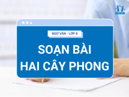 soan-bai-hai-cay-phong