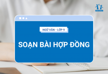 soan-bai-hop-dong