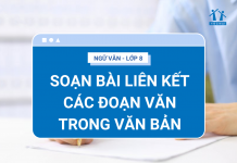 soan-bai-lien-ket-cac-doan-van-trong-van-ban