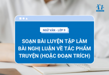 soan-bai-luyen-tap-lam-bai-nghi-luan-ve-tac-pham-truyen-hoac-doan-trich