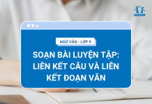 soan-bai-luyen-tap-lien-ket-cau-va-lien-ket-doan-van