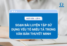 soan-bai-luyen-tap-su-dung-yeu-to-mieu-ta-trong-van-ban-thuyet-minh