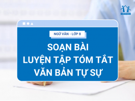 soan-bai-luyen-tap-tom-tat-van-ban-tu-su