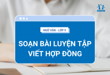 soan-bai-luyen-tap-viet-hop-dong