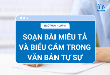 soan-bai-mieu-ta-va-bieu-cam-trong-van-ban-tu-su