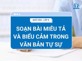 soan-bai-mieu-ta-va-bieu-cam-trong-van-ban-tu-su