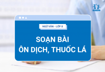 soan-bai-on-dich-thuoc-la