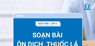 soan-bai-on-dich-thuoc-la