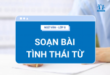 soan-bai-tinh-thai-tu