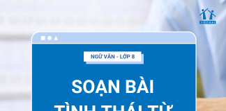 soan-bai-tinh-thai-tu