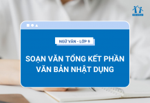 soan-bai-tong-ket-phan-van-ban-nhat-dung