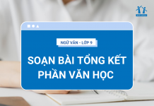 soan-bai-tong-ket-phan-van-hoc