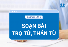 soan-bai-tro-tu-than-tu