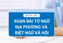 soan-bai-tu-ngu-dia-phuong-va-biet-ngu-xa-hoi