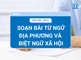 soan-bai-tu-ngu-dia-phuong-va-biet-ngu-xa-hoi