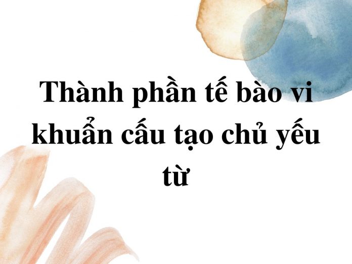 thanh-phan-te-bao-vi-khuan-cau-tao-chu-yeu-tu