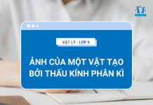 anh-cua-mot-vat-tao-boi-thau-kinh-phan-ki