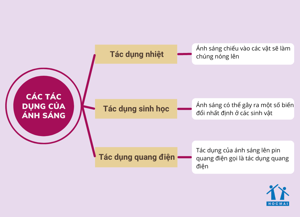 các-tac-dung-cua-anh-sang-1